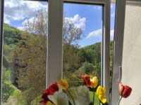Wunderbarer Ausblick
