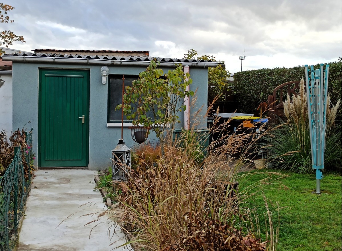 Der Garten mit kleinen Bäumen und Sträuchern
