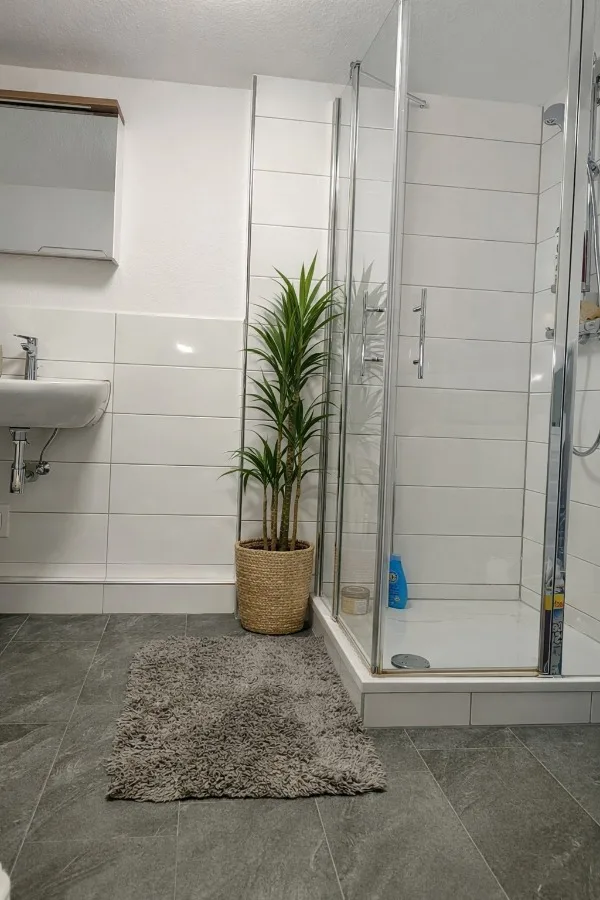 Das moderne Bad mit Dusche