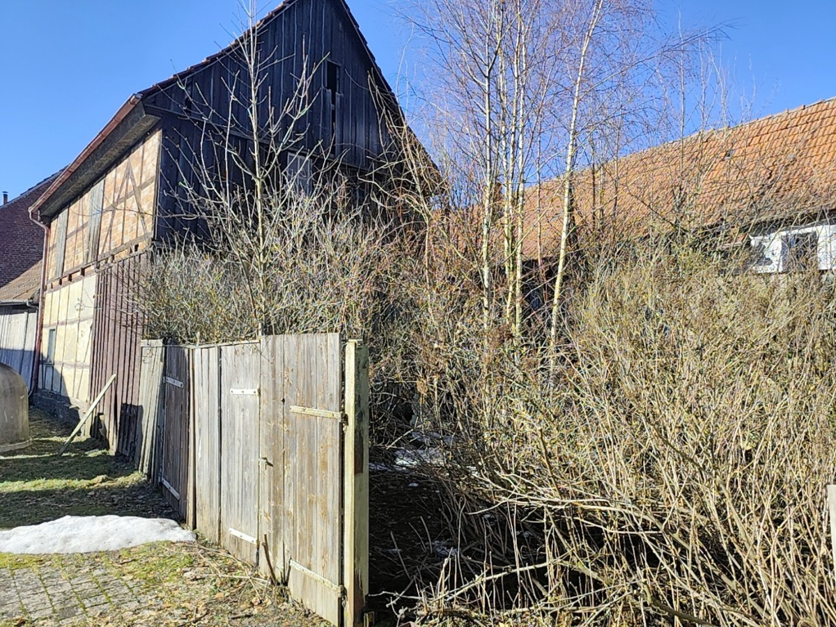 Der Zugang zum Grundstück- Hof von Haus zwei- etwas verwachsen