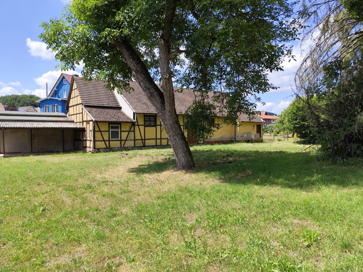 Naturgrundstück mit Baumbestand, hinteren Teil des Grundstücks