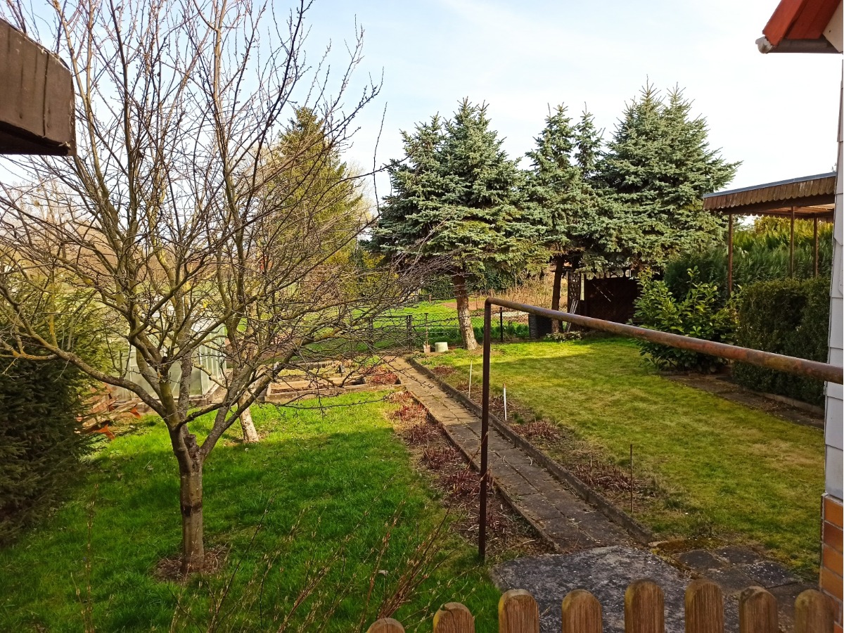 Der Garten mit Baumbestand