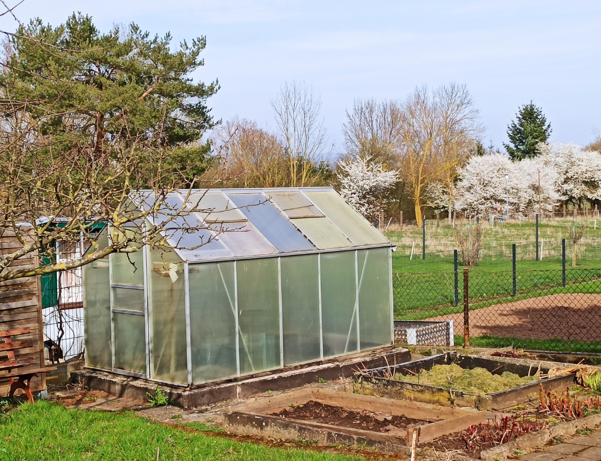 Das Gewächshaus mit Hochbetten im Garten