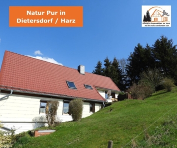 ENTSPANNT IM GRÜNEN+EINFAMILIEHAUS / FERIENHAUS IM SCHÖNEN WANDERGEBIET VON DIETERSDORF IM HARZ, 06536 Südharz, Einfamilienhaus