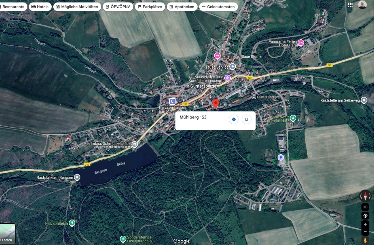 Lage Güntersberge im Harz Google-Aufnahme