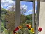 Aussicht in die Natur von Stolberg Harz - 1,5-Zimmer-Wohnung in Top-Lage – Naturparadies Stolberg im Harz