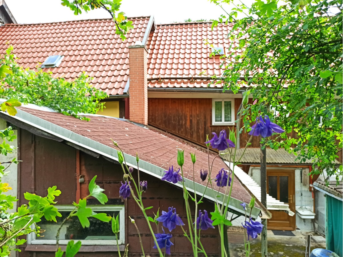 Blick vom Garten auf das Nebengelass
