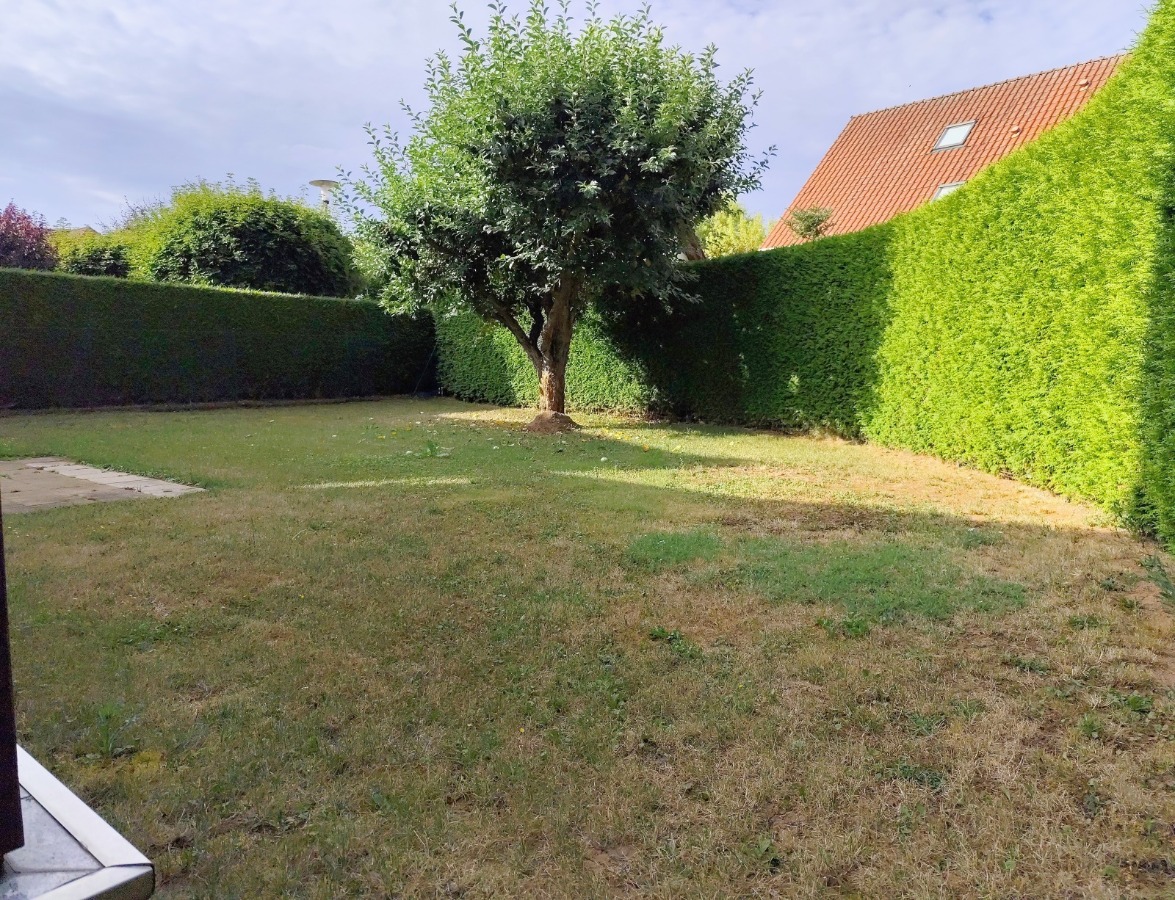 Der Garten mit einem Apfelbaum