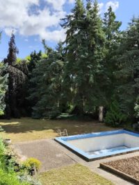Das Naturgrundstück mit Baumbestand und Pool
