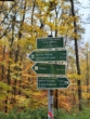 Hinweisschilder am Wanderweg - Waldgrundstück in Hamma bei Heringen/Helme zu verkaufen.