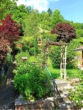 Der schöne Garten mit Blumen und Sträuchern - FACHWERKHAUS MIT SONNENTERRASSE UND SCHLOSSBLICK IN STOLBERG (HARZ)