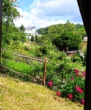 Das Schloss Stolberg - FACHWERKHAUS MIT SONNENTERRASSE UND SCHLOSSBLICK IN STOLBERG (HARZ)