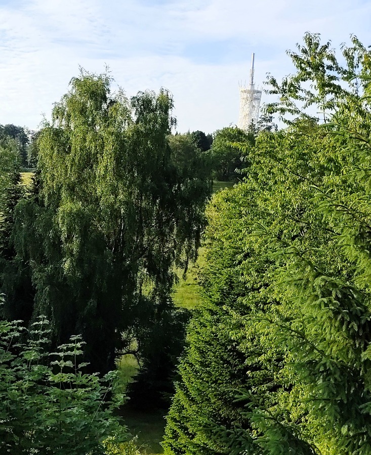 Blick vom Balkon/ Dachterrasse zum Hexenbesen-70 m hohen Aussichtsturm