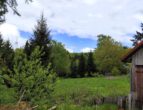 Naturgrundstück mit Blick zum Hexenbesen