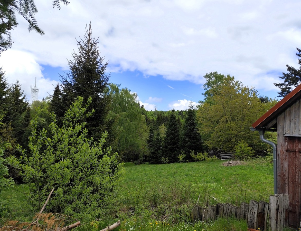 Naturgrundstück mit Blick zum Hexenbesen
