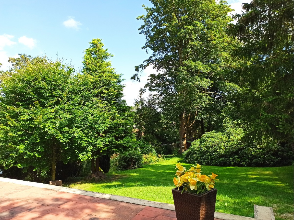 Blick von der Terrasse in den schönen Garten