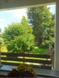 Blick aus dem Küchenfenster in den Garten - Großzügige 3-Zimmer-Terrassenwohnung mit Blick ins Grüne –barrierefrei & ruhig gelegen in Bad Sachsa