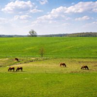 Landschaft und Umgebung in Dietersdorf Harz